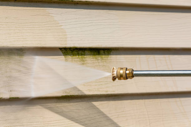 Best Best Pressure Washing Companies  in Maysville, MO